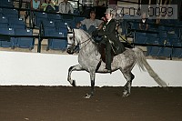 r14-04_0099 proof