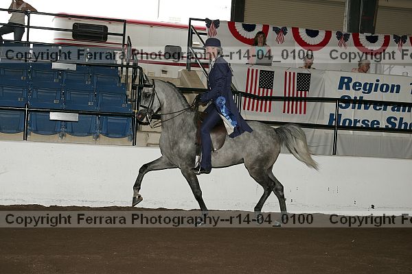 Proof r14-04_0100