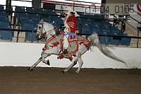 r14-04_0106 proof