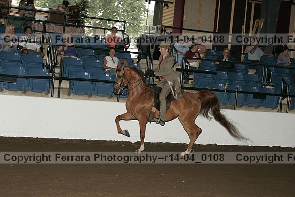 Proof r14-04_0108