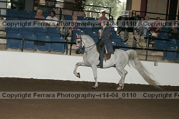 Proof r14-04_0110