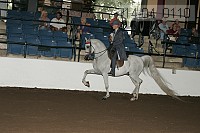 r14-04_0110 proof