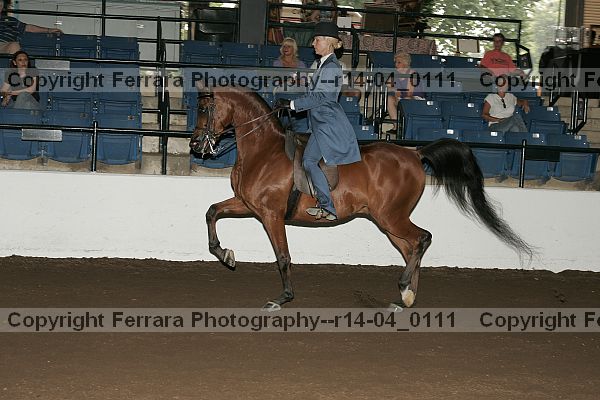 Proof r14-04_0111