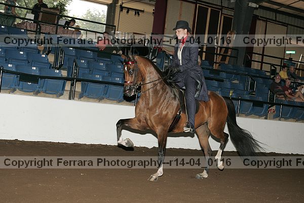 Proof r14-04_0116