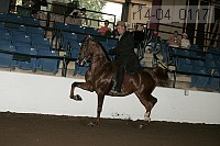 r14-04_0117 proof