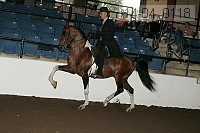 r14-04_0118 proof