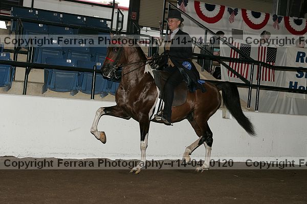 Proof r14-04_0120
