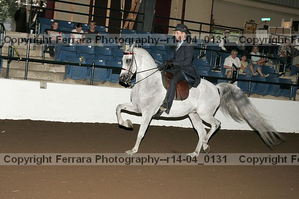 Proof r14-04_0131