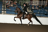 r14-04_0132 proof