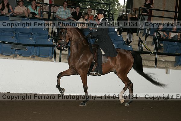 Proof r14-04_0134