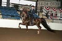r14-04_0139 proof