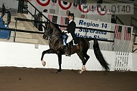 r14-04_0140 proof
