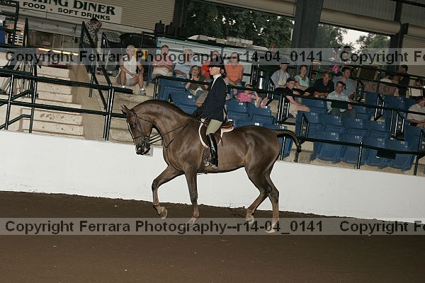 Proof r14-04_0141