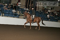 r14-04_0145 proof