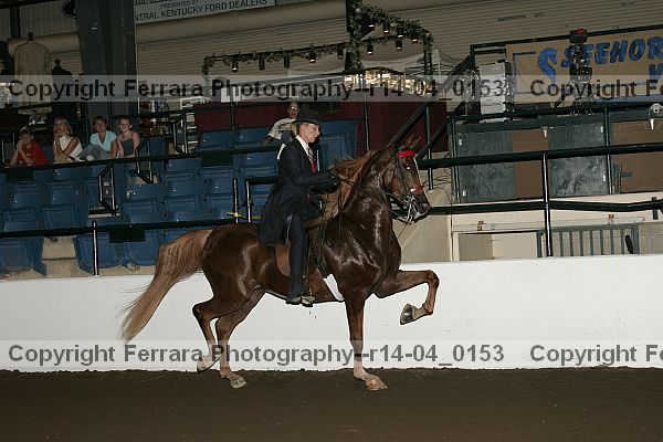 Proof r14-04_0153