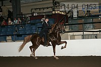 r14-04_0153 proof