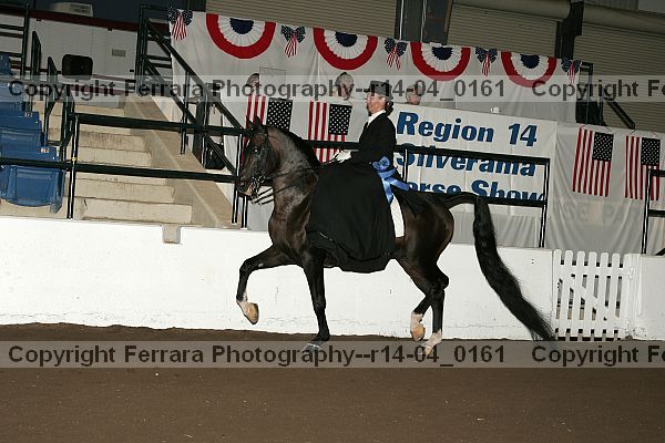Proof r14-04_0161