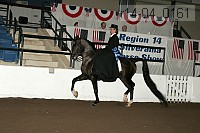 r14-04_0161 proof