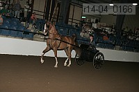 r14-04_0166 proof