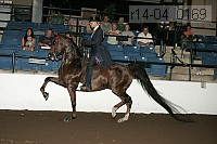 r14-04_0169 proof