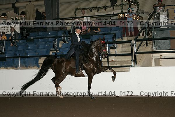 Proof r14-04_0172