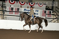 r14-04_0175 proof