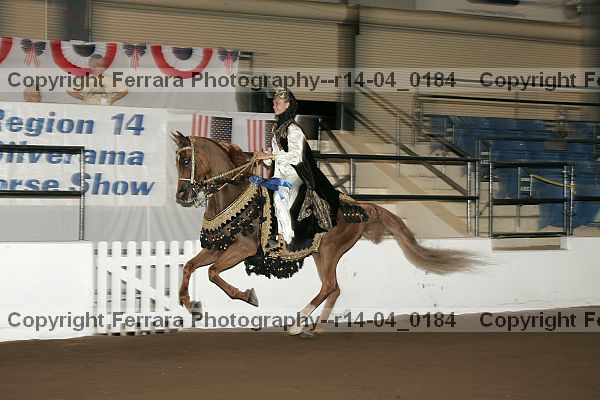 Proof r14-04_0184