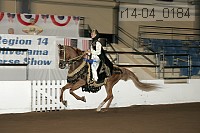r14-04_0184 proof